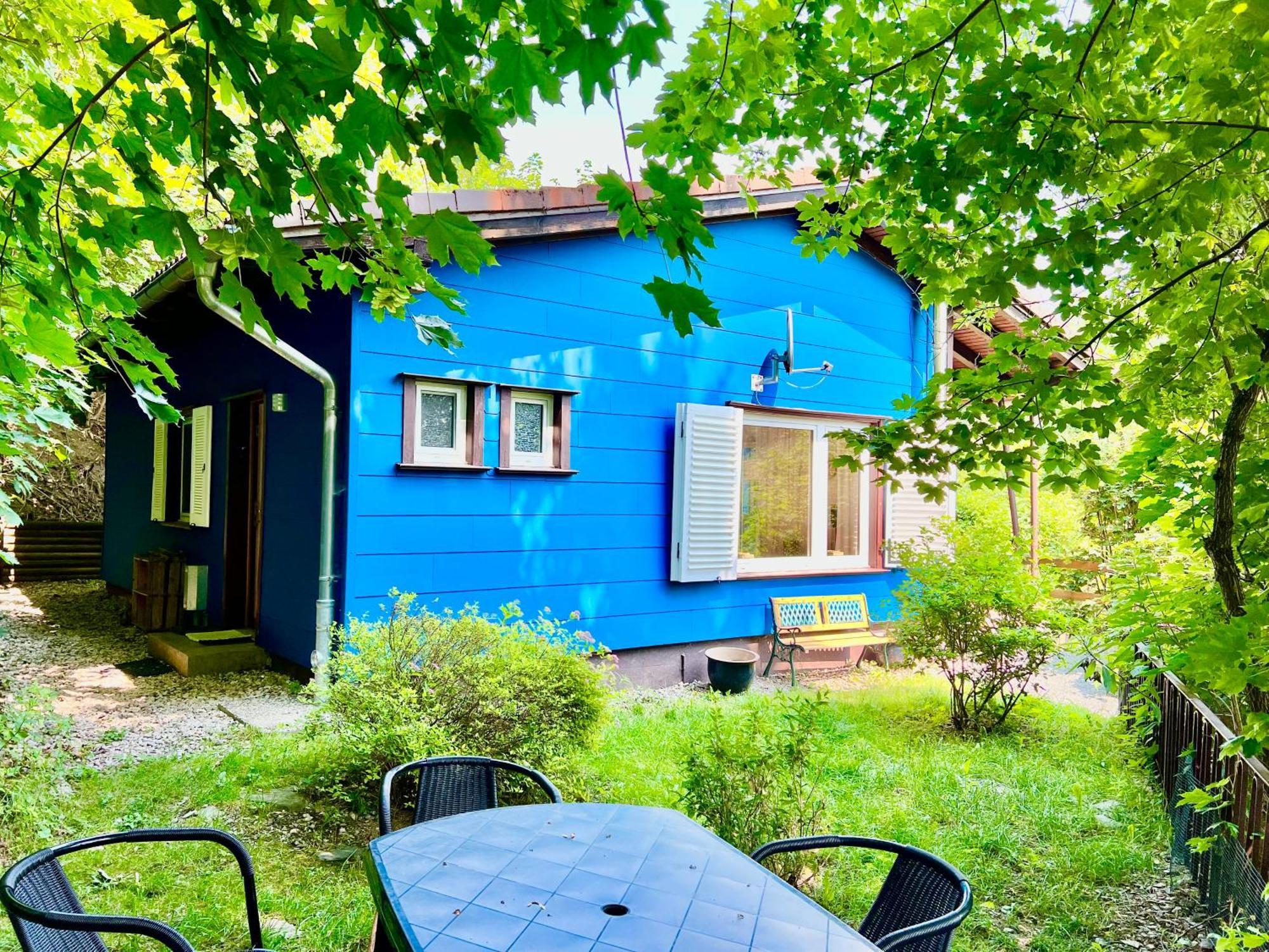 Platell Ferienhausverwaltung Sankt Andreasberg Exterior foto